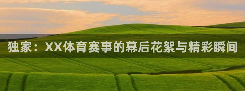 独家：XX体育赛事的幕后花絮与精彩瞬间