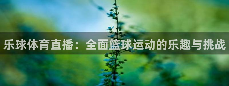乐球体育直播：全面篮球运动的乐趣与挑战