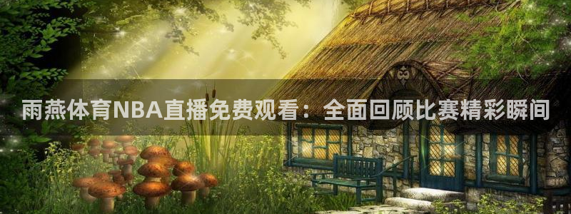 雨燕体育NBA直播免费观看：全面回顾比赛精彩瞬间