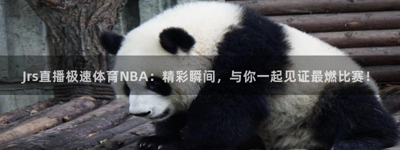 Jrs直播极速体育NBA：精彩瞬间，与你一起见证最燃比赛！