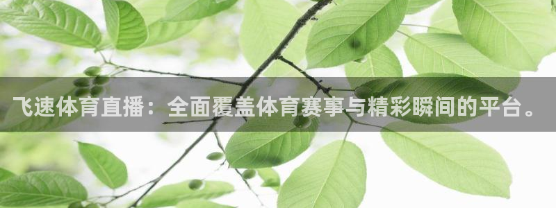 飞速体育直播：全面覆盖体育赛事与精彩瞬间的平台。