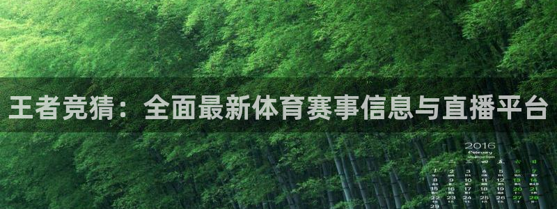 王者竞猜：全面最新体育赛事信息与直播平台