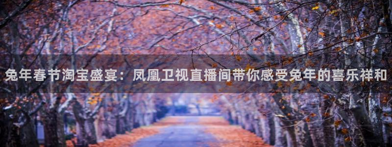 兔年春节淘宝盛宴：凤凰卫视直播间带你感受兔年的喜乐祥和