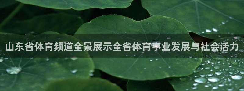 世界杯决赛日期：山东省体育频道全景展示全省体育事业发展与社会活力