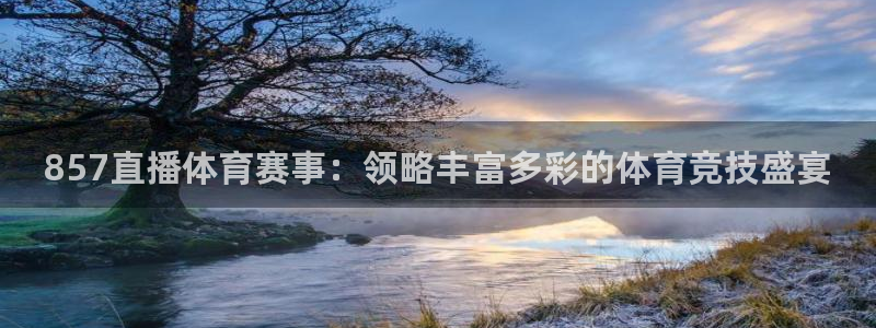 97年世界杯预选赛：857直播体育赛事：领略丰富多彩的体育竞技盛宴