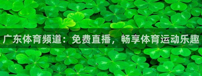 女子足球世界杯2022：广东体育频道：免费直播，畅享体育运动乐趣