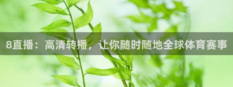 2022世界杯完整赛程：8直播：高清转播，让你随时随地全球体育赛事