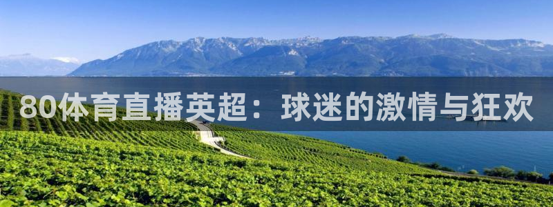 赛事直播世界杯：80体育直播英超：球迷的激情与狂欢
